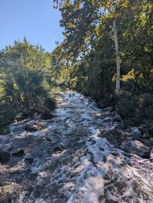 San Antonio River Walk by null