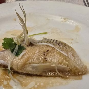 Grand Catering - Steamed live green bass - Caterers Near Me - Toronto, Ontario