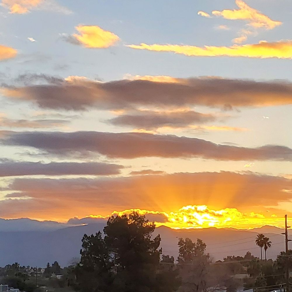 THE VAN BUREN Updated September 2024 13 Photos 625 N Van Buren