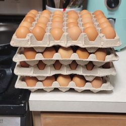 Eggs N Texas - 4 Flats of fresh eggs