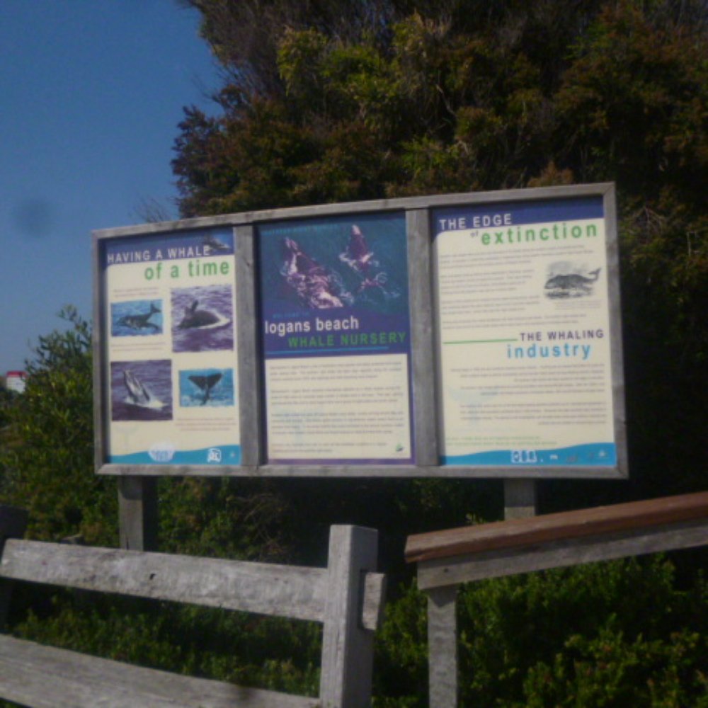 Logans Beach Whale Nursery - The Information Board - Beaches Near Me - Warrnambool, VIC