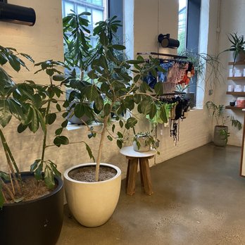Bathhouse - Williamsburg - Lobby near the entrance - Massage Near Me - Brooklyn, New York