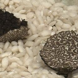Ports of Italy - Truffle