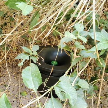 Cavalry Pest Control - In2care mosquito trap - Pest Control Near Me Cavalry Pest Control - In2care mosquito trap - Pest Control Near Me