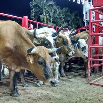 Bergeron Rodeo Grounds - Rodeo Near Me - Davie, Florida