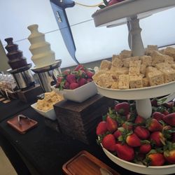Southern Gentlemen Catering - Chocolate fountain
