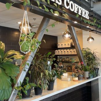 Roots Coffee - Pickup area - Coffee & Tea Near Me - Sacramento, California