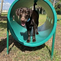 Mobbly Bayou Dog Park