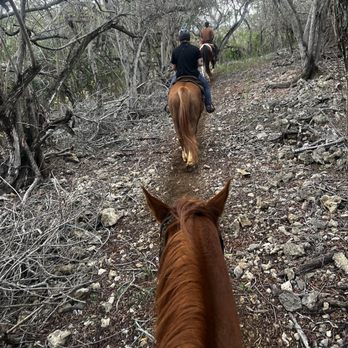 Gunstock Ranch - Riding with Buckles, Raider, Patriot with our wrangler Cooper. - Horseback Riding Near Me - Laie, Hawaii Gunstock Ranch - Riding with Buckles, Raider, Patriot with our wrangler Cooper. - Horseback Riding Near Me - Laie, Hawaii