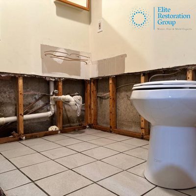 Elite Restoration Group