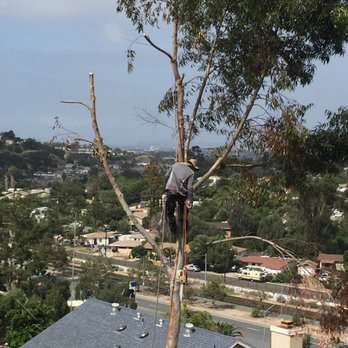 Professional Grade Tree Care - Tree Services Near Me - San Diego, California Professional Grade Tree Care - Tree Services Near Me - San Diego, California
