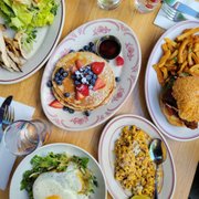 Photo of Little Owl - New York, NY, United States