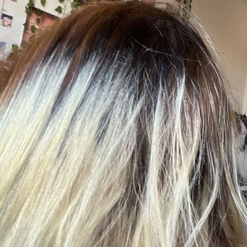 Hair 101 - What I came into the salon with - Hair Stylists Near Me - Flushing, New York