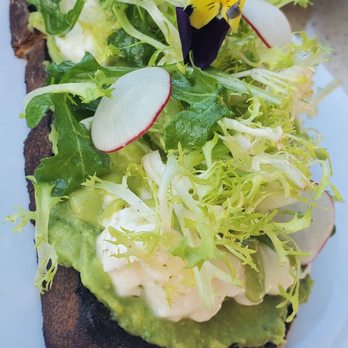 Waverly - Avocado toast + burrata - Breakfast & Brunch Near Me - Cardiff, California Waverly - Avocado toast + burrata - Breakfast & Brunch Near Me - Cardiff, California
