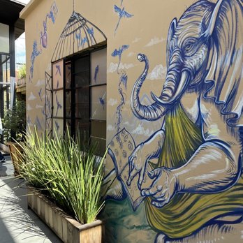 Elefante sabio - Coffee Roasteries Near Me - Guadalajara, JAL