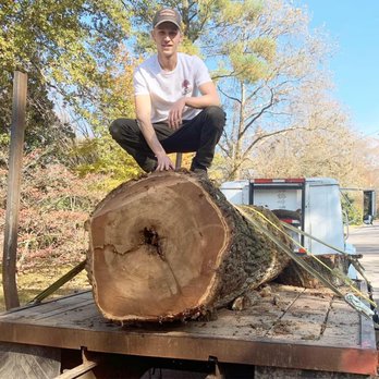 Haltom City Tree Service - Tree Services Near Me Haltom City Tree Service - Tree Services Near Me