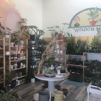 Windowsill - house plant boutique - Nurseries & Gardening Near Me - Salem, Oregon Windowsill - house plant boutique - Nurseries & Gardening Near Me - Salem, Oregon
