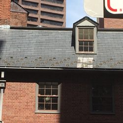 Guide pointed out the bumps on roof... they keep snow/ice from falling at once.