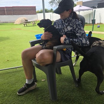 Feels Like Home - Pet Training Near Me - Santee, California