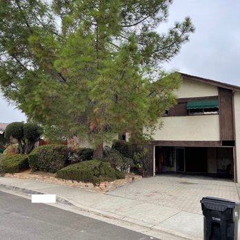 Madrid Tree Services - Before - Tree Services Near Me Madrid Tree Services - Before - Tree Services Near Me