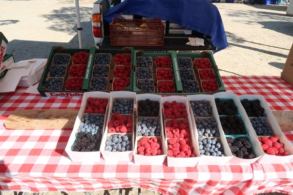 Santa Monica Saturday Pico Farmers Market by null