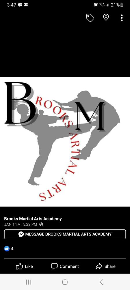 Brooks Martial Arts Academy Logo