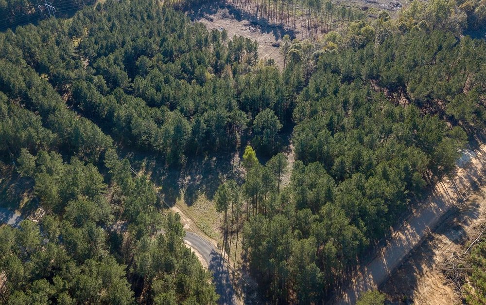 HERC Aerial Imaging - veterans service organization in Brandon, MS