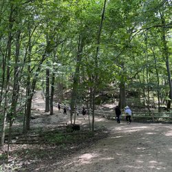 Pewit's Nest State Natural Area - Fork:: left leaded to view from above, right leads to pond/stream below