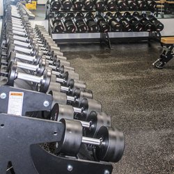 Ramm's Fitness