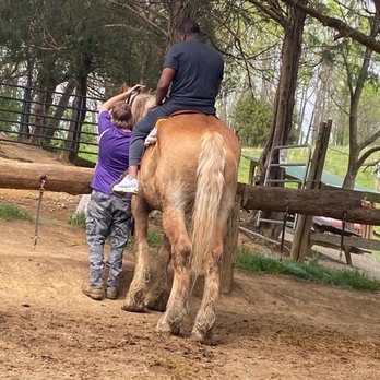 Goldrush Stables & Stage Lines - Great ride. - Horseback Riding Near Me - Pigeon Forge, Tennessee Goldrush Stables & Stage Lines - Great ride. - Horseback Riding Near Me - Pigeon Forge, Tennessee