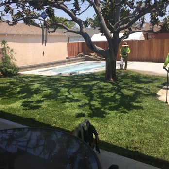 Green Touch Tree and Landscaping Services - Tree Services Near Me - Bellflower, California Green Touch Tree and Landscaping Services - Tree Services Near Me - Bellflower, California