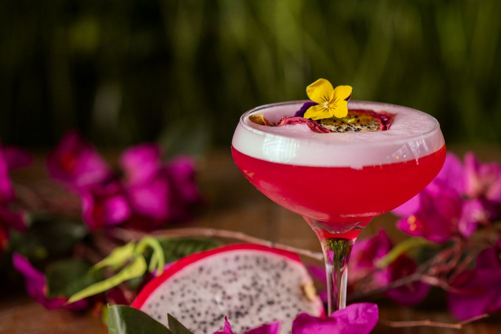 Cocktail Garden & Kitchen Image