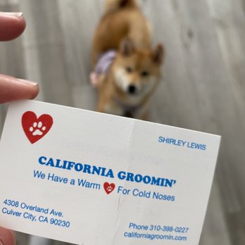 California Grooming - Business card - Pet Groomers Near Me - Culver City, California