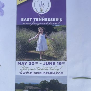 Midfield Farm - Handout - Pick Your Own Farms Near Me - Bulls Gap, Tennessee Midfield Farm - Handout - Pick Your Own Farms Near Me - Bulls Gap, Tennessee