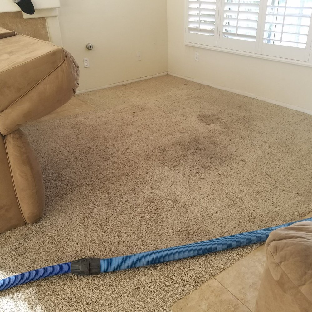 Moreno Carpet Cleaners - Carpet Cleaning Near Me