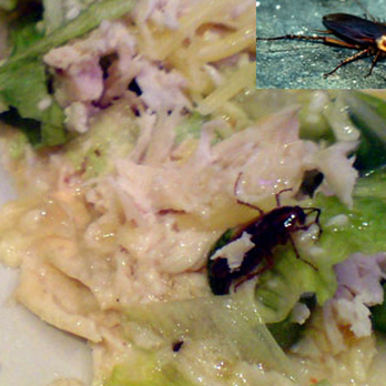 Thai Silk Restaurant - AWFUL FOOD - Thai Near Me - Orlando, Florida