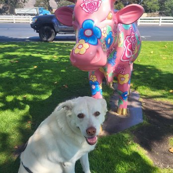 Cozycroft Pet Hospital - DELILAH AT MADONNA INN - Veterinarians Near Me - Chatsworth, California Cozycroft Pet Hospital - DELILAH AT MADONNA INN - Veterinarians Near Me - Chatsworth, California