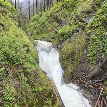 Horsetail Falls - Waterfall - Hiking Near Me - Cascade Locks, Oregon Horsetail Falls - Waterfall - Hiking Near Me - Cascade Locks, Oregon