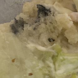 Jimmy John's - Mold
