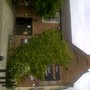 Photo of Wheatsheaf Inn