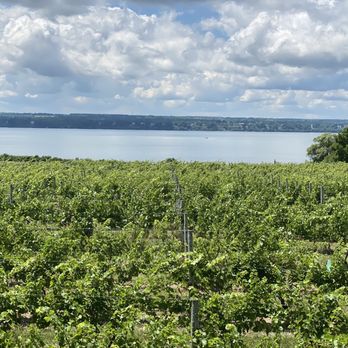 Ventosa Vineyards - Wineries Near Me - Geneva, New York
