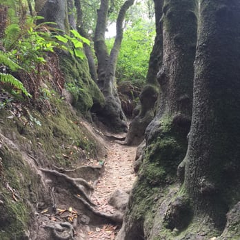 Tilden Regional Park - Parks Near Me - Berkeley, California