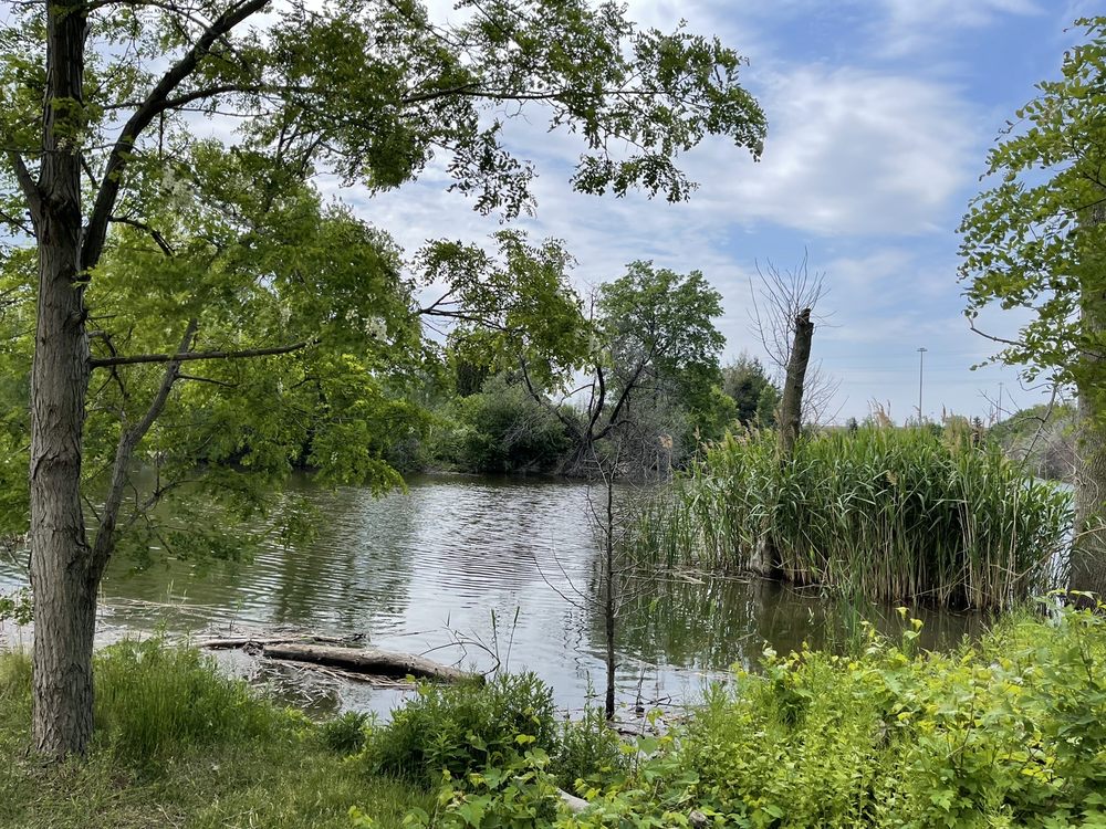 confederation-park-585-van-wagners-beach-road-hamilton-ontario