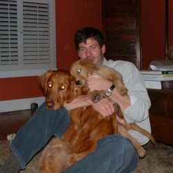 Colin's Dog Boarding - We have two goldens...