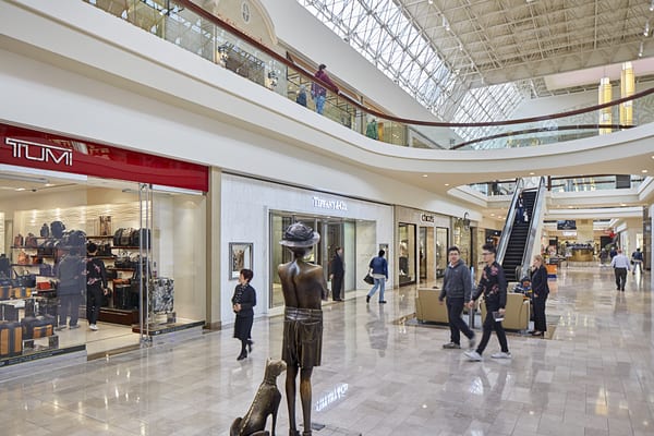 The Shops at Chestnut Hill by null