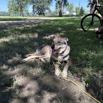 Grimm Tails Veterinary Clinic - My sweet girl says, Thank you!" - Veterinarians Near Me - Viroqua, Wisconsin Grimm Tails Veterinary Clinic - My sweet girl says, Thank you!" - Veterinarians Near Me - Viroqua, Wisconsin
