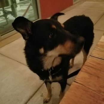Ponderosa Brewing - Hey...are those free Yelp fries at my table? - Breweries Near Me - Albuquerque, New Mexico