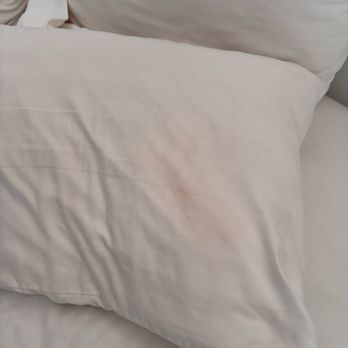 Sea Horse Resort - Pillow soiled - Hotels Near Me - San Clemente, California Sea Horse Resort - Pillow soiled - Hotels Near Me - San Clemente, California