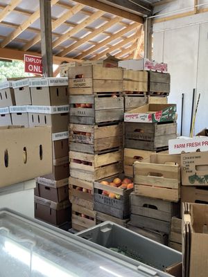 Frank's Produce & Greenhouse by null