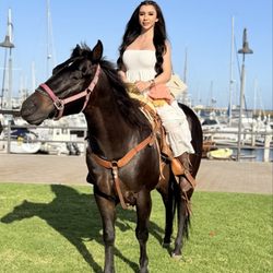 Start Stables
